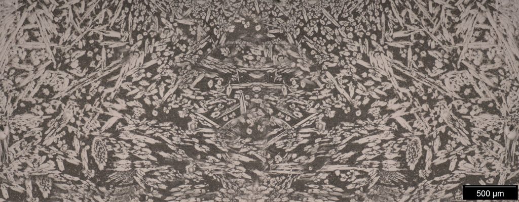 Fusion 600 Micrograph
