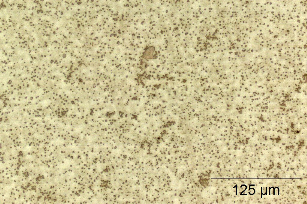 Chromeweld Ti Micrograph