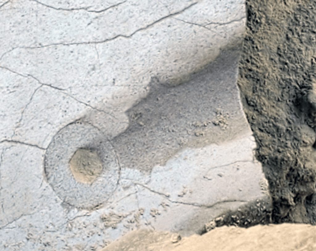 Worn CC Plate