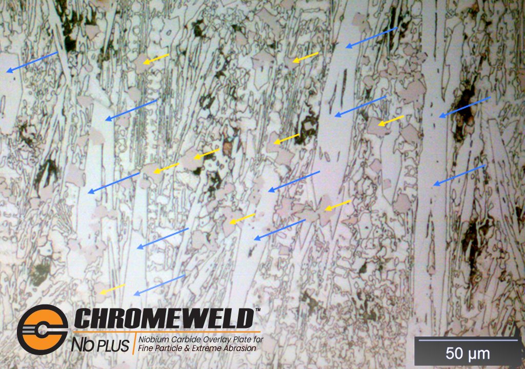 niobium-carbide-photomicrograph.png