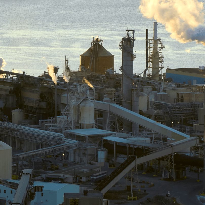 PAPER PLANT